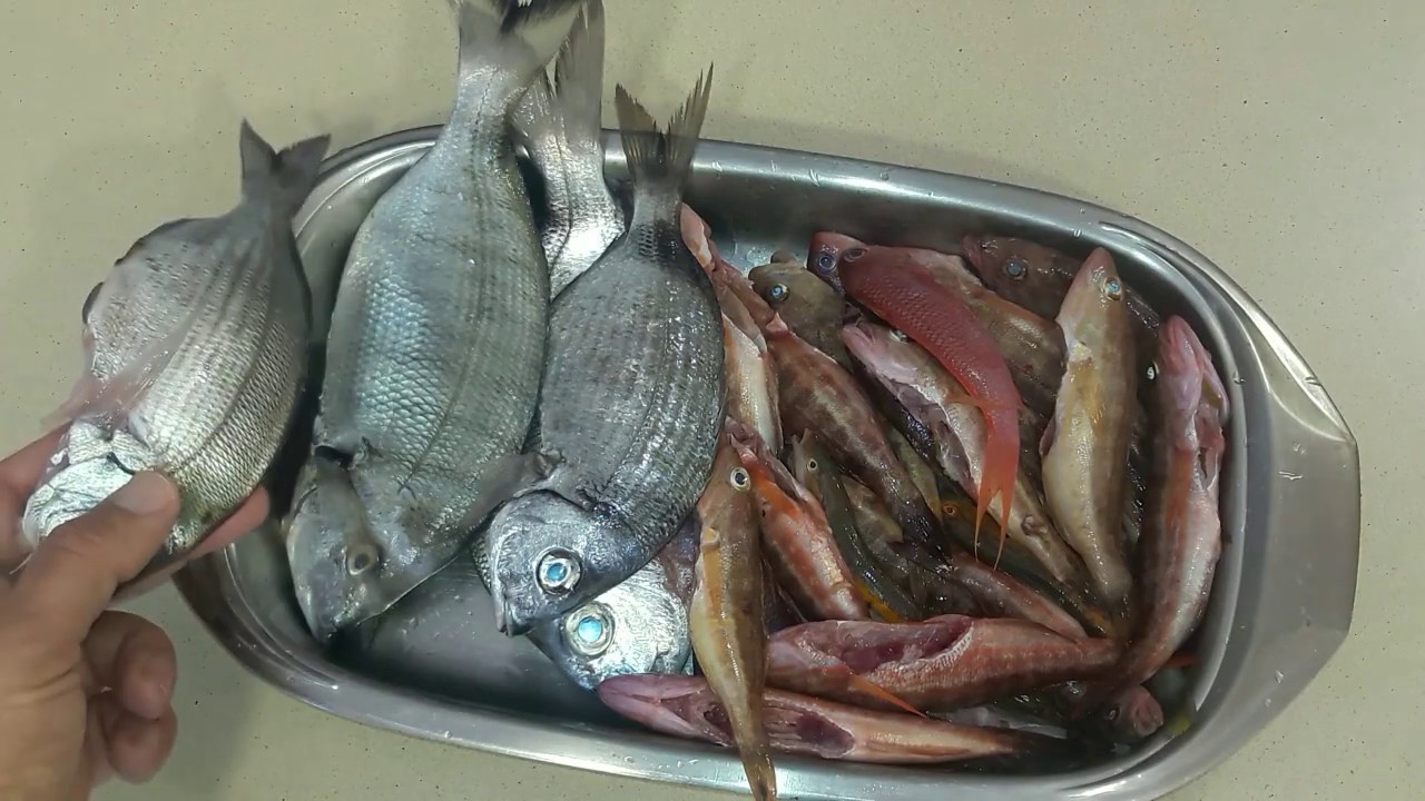 Caldo de pez de roca especial para guisos de arroz, patata ...