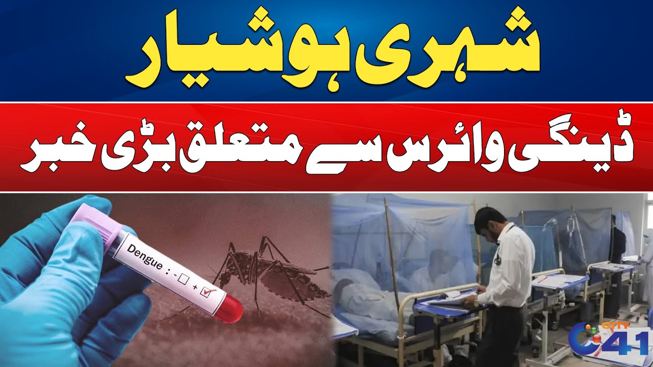 Dengue Cases Updates l Breaking News l City 41 - YouTube