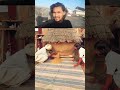 राजस्थान के गांव 😍✅️ #shorts #viral #trending #rajasthan