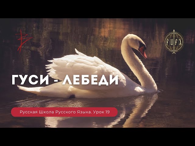 Урок 19. Гуси - Лебеди - Русская Школа Русского Языка. Виталий Сундаков