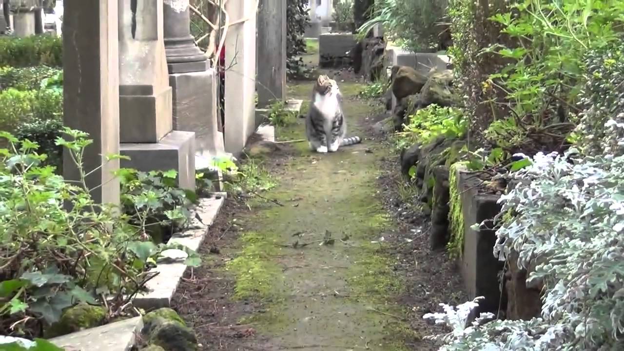 Cimitero acattolico di roma