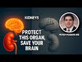 Why Your Kidneys Matter More Than Your Heart