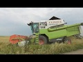 Жнива на пшеничному полі. Claas medion 310, Дон 1500 в роботі