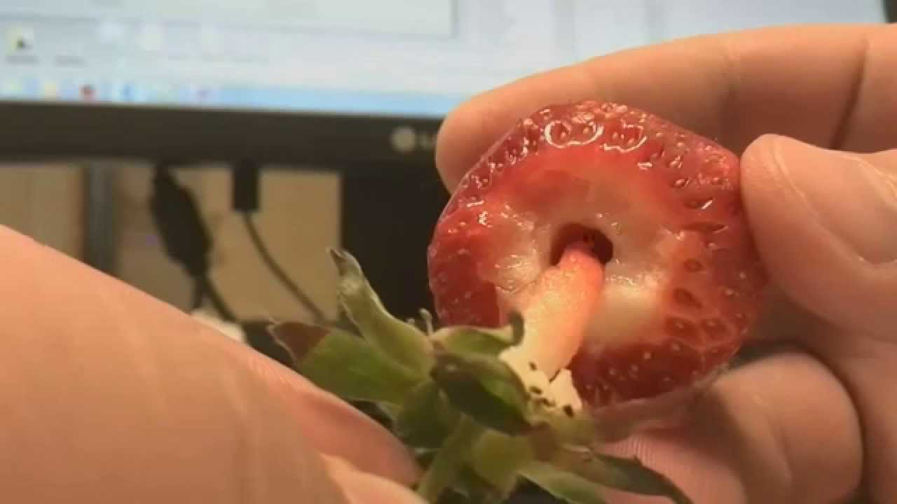 Strawberry Sex Official Video Xd Youtube