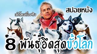 ชายผู้นำทางกับภารกิจการกลับไปช่วยน้องหมาทั้ง 8 [สปอยหนังเก่า] Eight Below (2006)