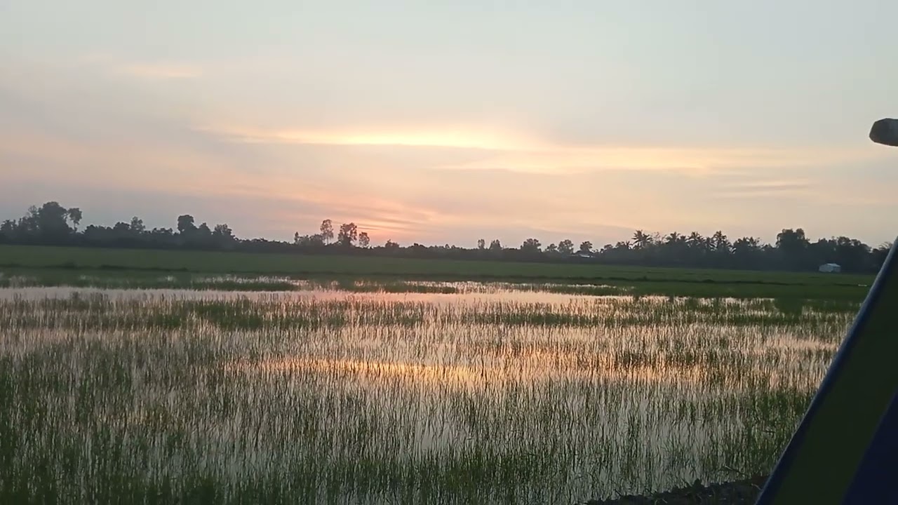 Đánh chim đêm đủ công anh em ơi