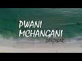 Zanzibar beaches: Pwani Mchangani