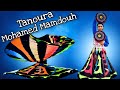 Tanoura Mohamed Mamdouh