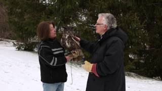 Talons - A Bird of Prey Experience