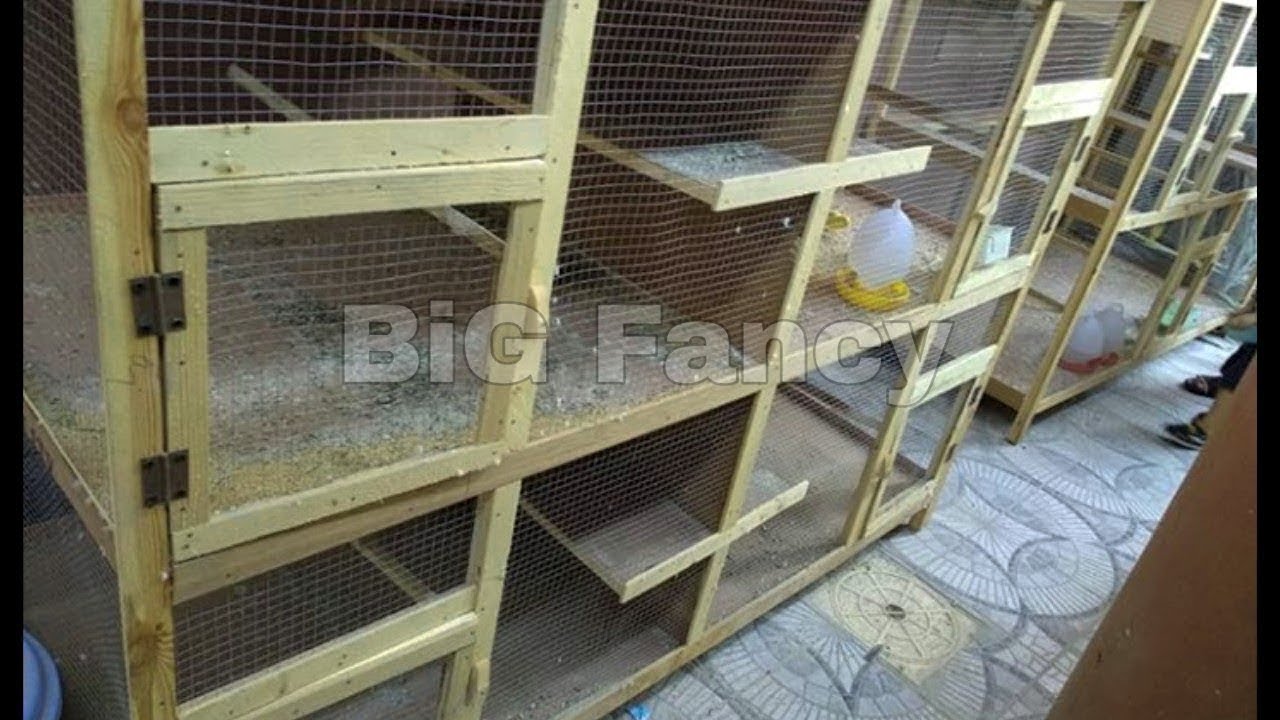 Wooden Large Pet Bird Cages New pigeons wood loft cage YouTube