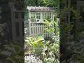 60代の暮らし🌿森に白い庭を創る窓壁DIY / White Cottage Garden DIY🌼
