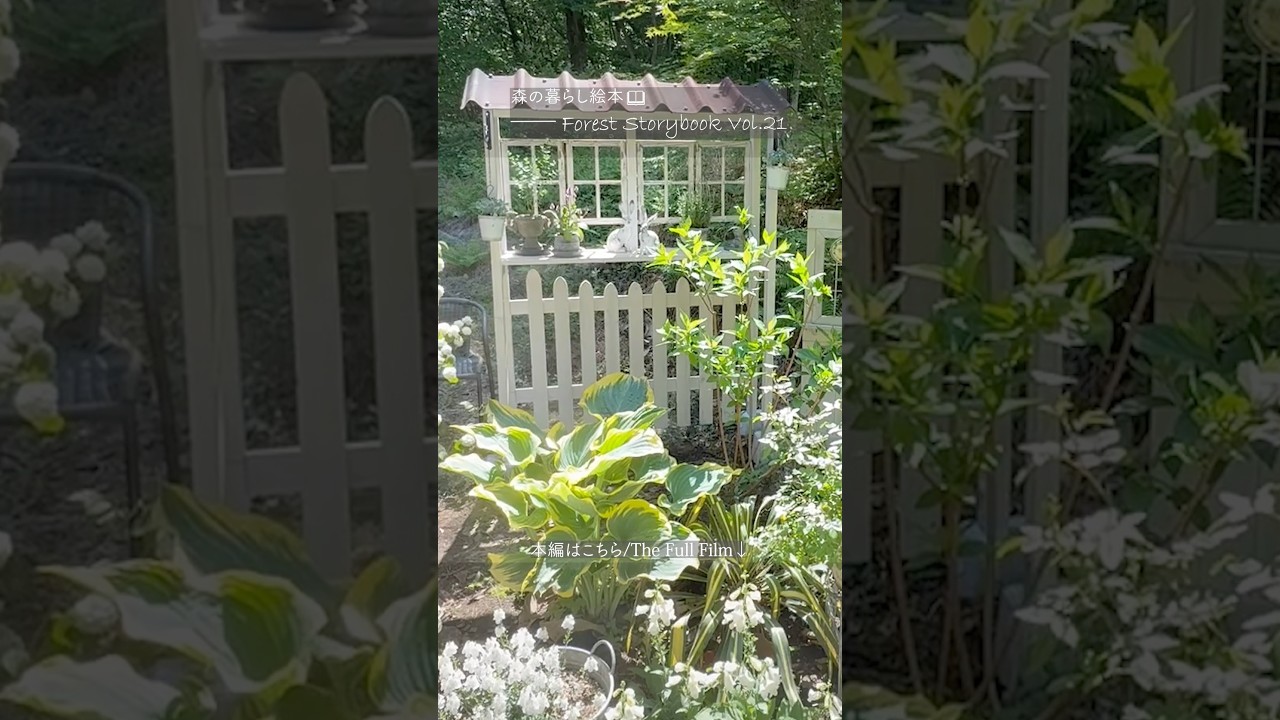 60代の暮らし🌿森に白い庭を創る窓壁DIY / White Cottage Garden DIY🌼