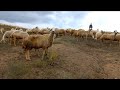 Abbas Amca\Kesikköprü Köyü Anı Videosu (Klip)