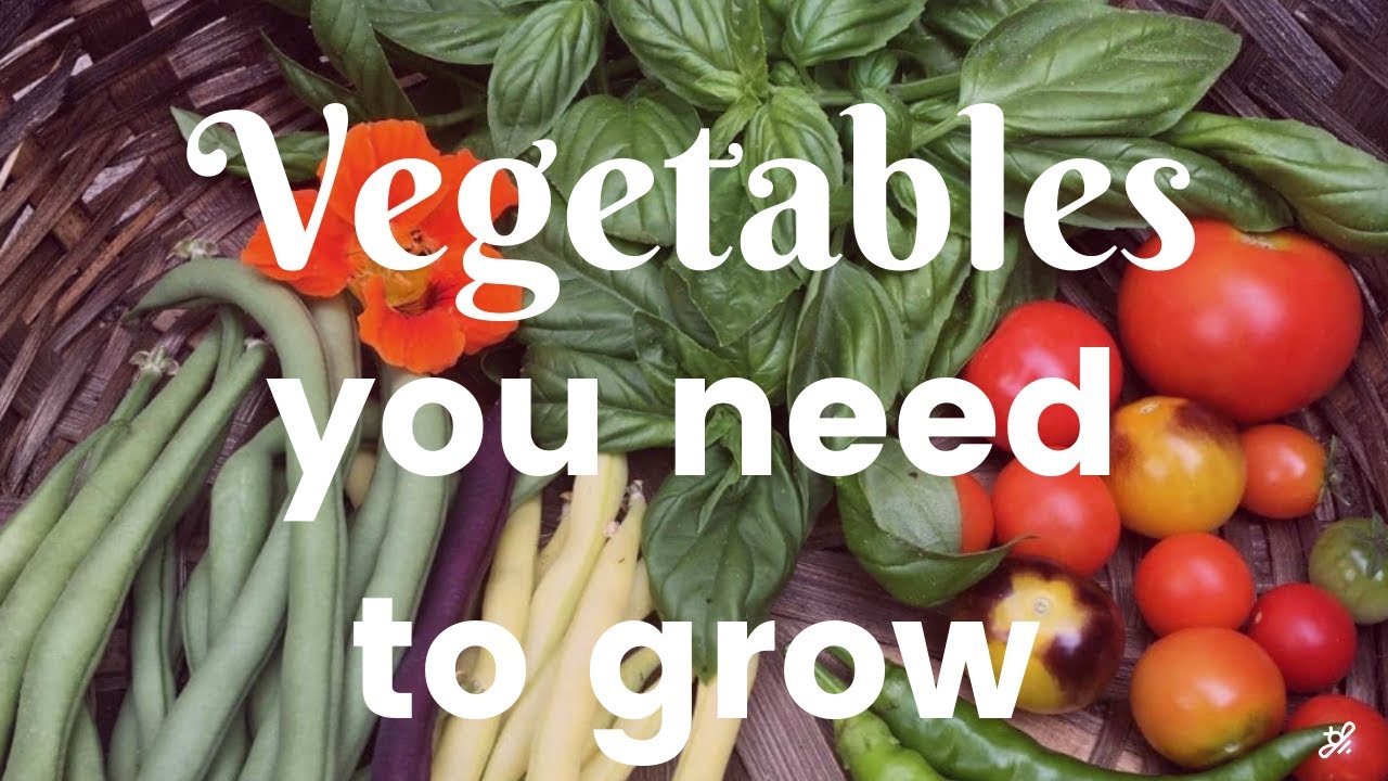 Top Vegetables to Grow this Season - YouTube