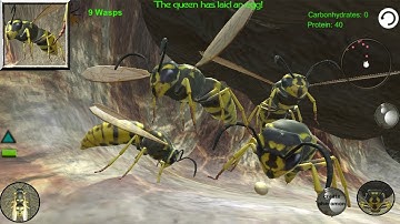 Wasp Nest Simulator - Insect and 3d animal game (by hksdev) / Android Gameplay HD