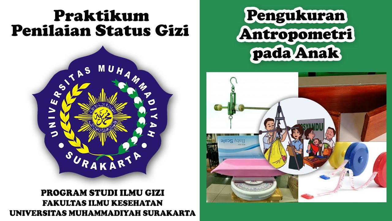 Pengukuran Antropometri pada Anak - Praktikum PSG | Ilmu Gizi