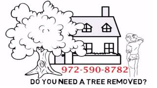 Craigslist Tree Service Dallas TX  | 972-590-8782