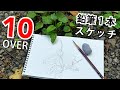 【消しゴム無し】白玉の滝近くのオオバコを描く【10分スケッチ】