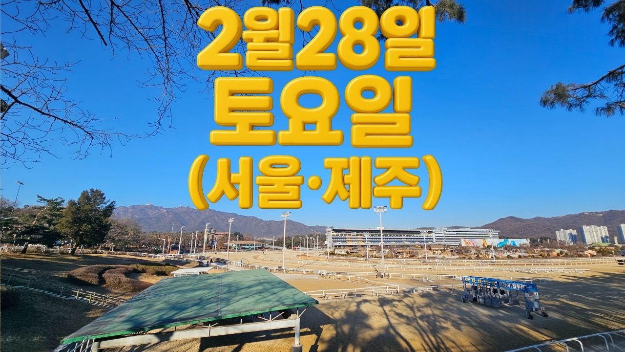 [ 2026년 2월 28일 토요(서울.제주)경마~!]
