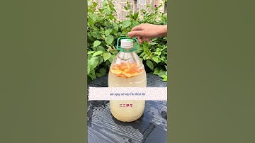 Đừng đổ nước vo gạo! Làm thế này tưới hoa cực tốt#shorts  #caytrongnha