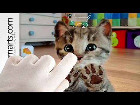 Little Kitten - My Favorite Cat - by Fox and Sheep - Little Kitten - My Favorite Cat - by Fox and Sheep