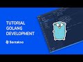 Tutorial Go - Mengenal Library Standard Input/Output Golang