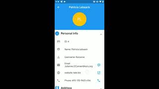 REST API App using flutter