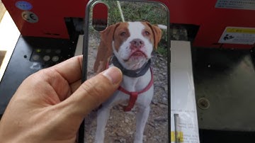 How to custom print your own phone cases by DOMSEM UV printer