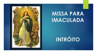 Vídeo de TODA PURA ÉS MARIA (Paulo Neto)