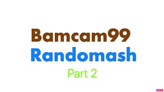 Bamcam99 Randomash Part 2