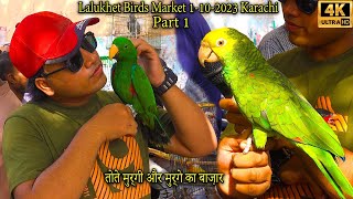 Lalukhet Exotic Parrot Hen and Rooster Birds Market Part 1 Karachi 1-10-23 الطيور والببغاوات الجميلة