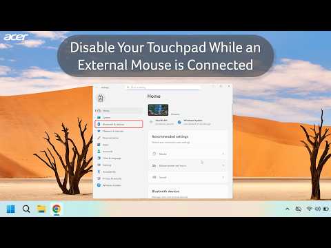 Disable Your Touchpad While an External Mouse is Connected | Windows 11