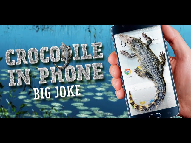 Crocodile in Phone Big Joke - Android app
