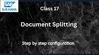 Document Splitting |SAP S4 Hana FI-Financial Accounting | Class-17