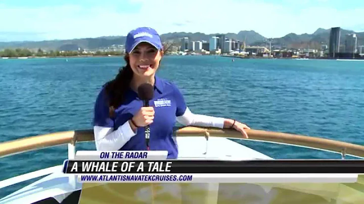 On the Radar with Jennifer Robbins - Navatek