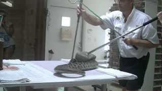 Download Lagu Eastern Diamondback Rattlesnake Venom Extraction MP3