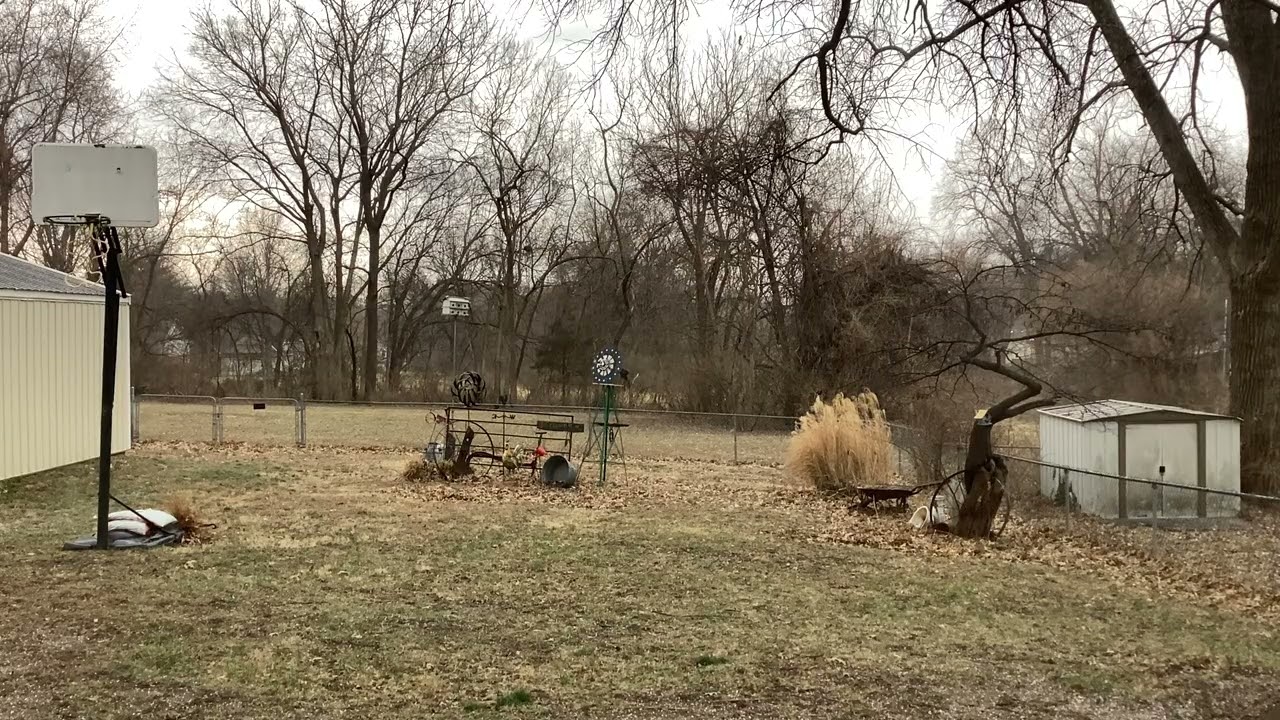 March 1, 2026 Icy Thunderstorm!