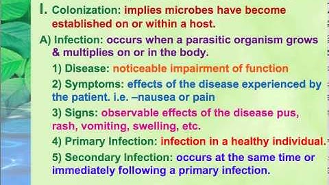 Introduction to Microbe Host Interactions.mp4