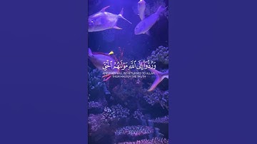 اكتب  شيء تؤجر عليه …#قرآن #quran #اكسبلور#قران_كريم#اكسبلور_فولو #سورة_الحجر #احاديث#تلاوة  #الله