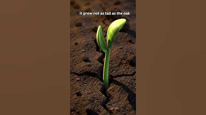 Motivation Short Story 💪🧠 Even Small Things Can Bring Great Beauty To The World #motivationstory