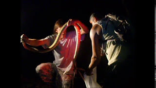 Travel Videos: Tropical Biology in Belize 2011