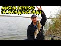 Рыбалка в октябре на карася,прикормка для холодной воды своими руками,рыбалка осенью,фидер осенью