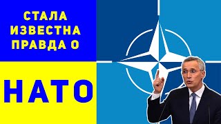 Что Украине даст членство в НАТО?