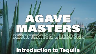 Download lagu Agave Masters: Introduction to Tequila ｜ Certification 1, Lesson 1