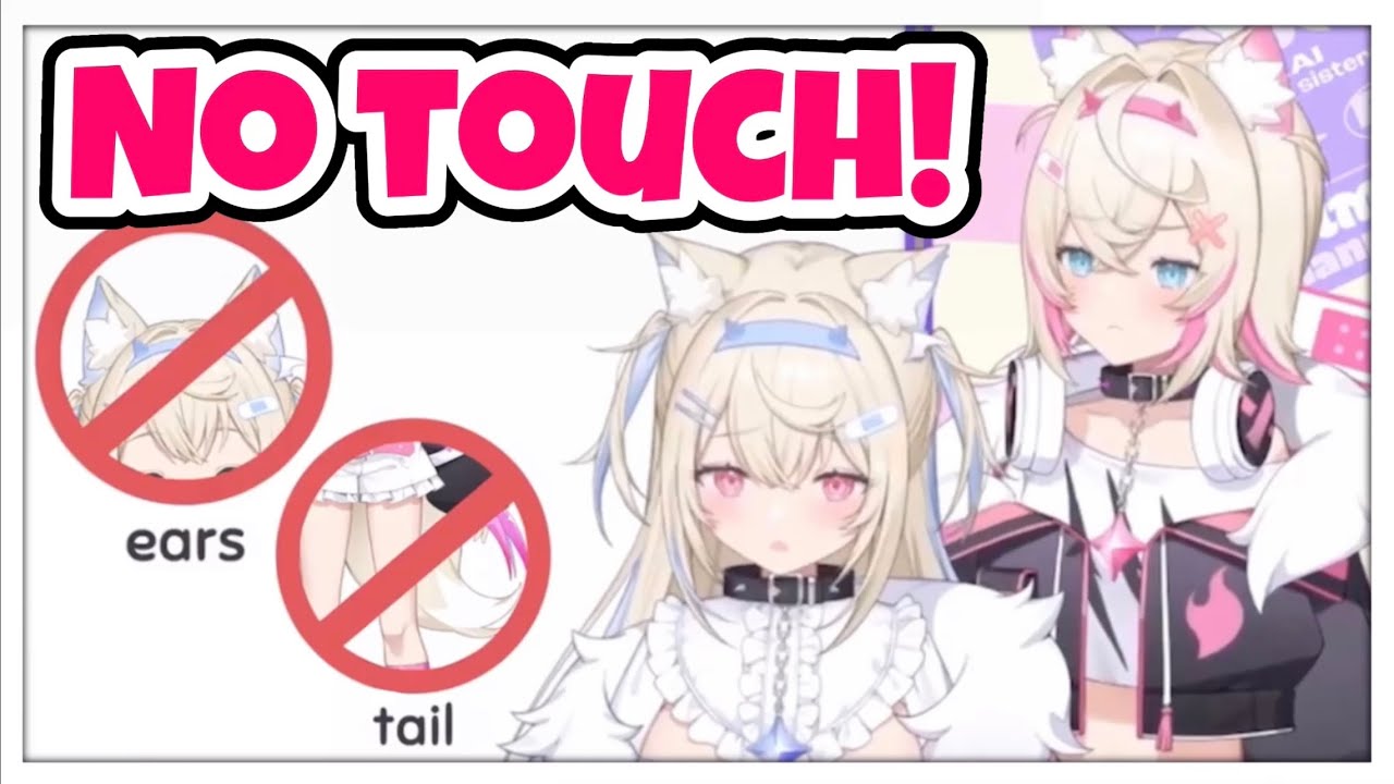 Fuwawa and Mococo Don’t Like To Be Touch! - YouTube