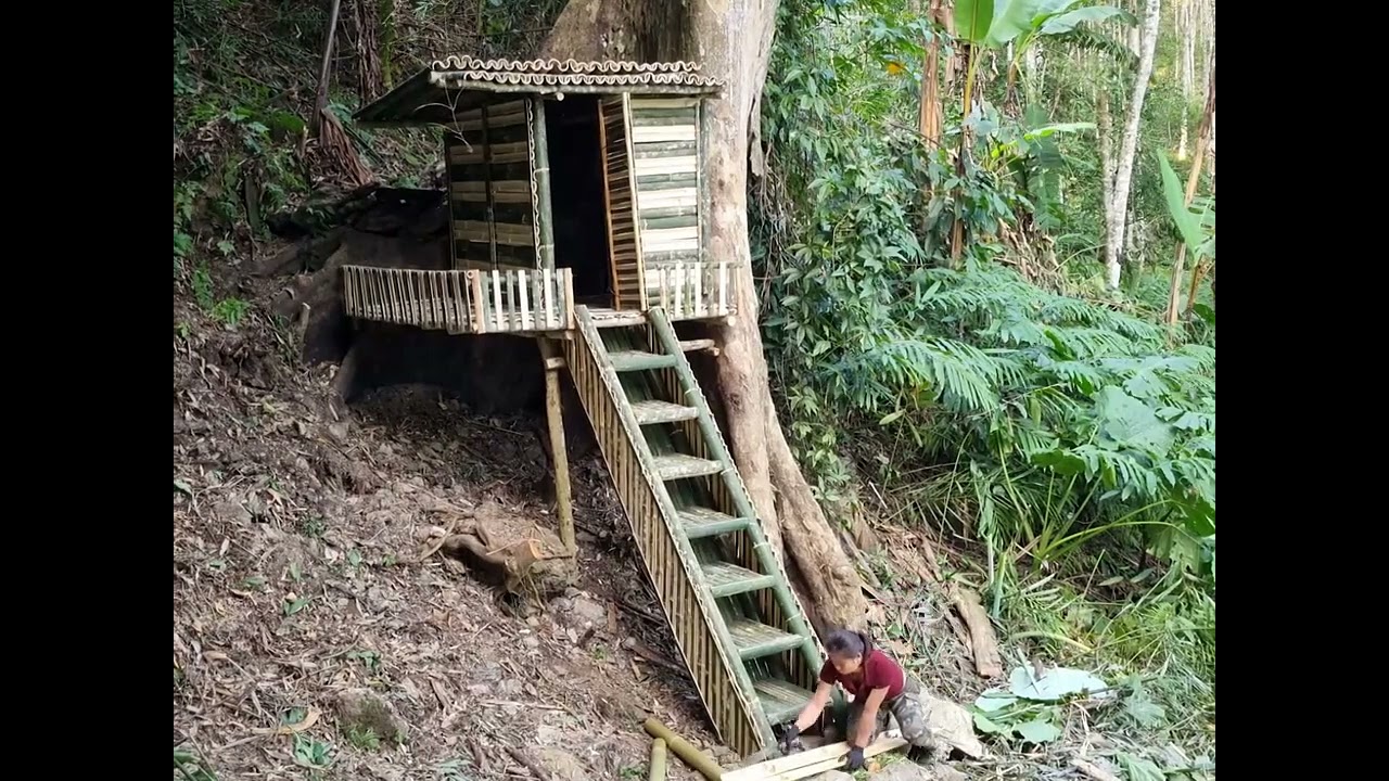 "Forest 🌳🌳build house 🏘️"