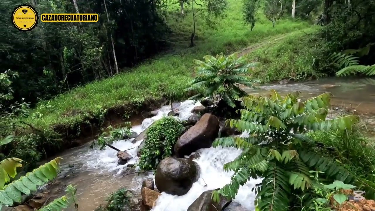El campo del Ecuador