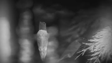 MYSQFLX - Lost - Short / Synth-Pop with Digitone, Digitakt, MonoLancet, Blofeld and Sequential OB-6.