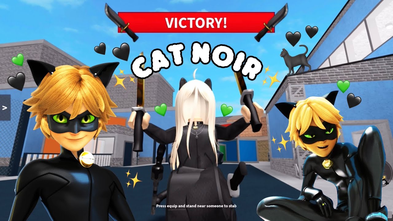 PLAYING MM2 AS CAT NOIR 🐈‍⬛✨(IPAD PRO GAMEPLAY)