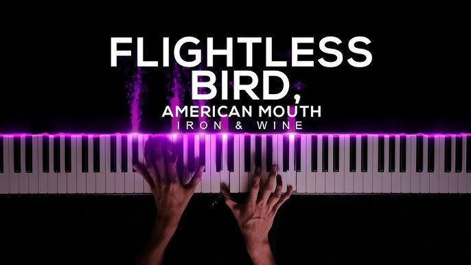 Flightless Bird, American Mouth sheet music for guitar (chords)